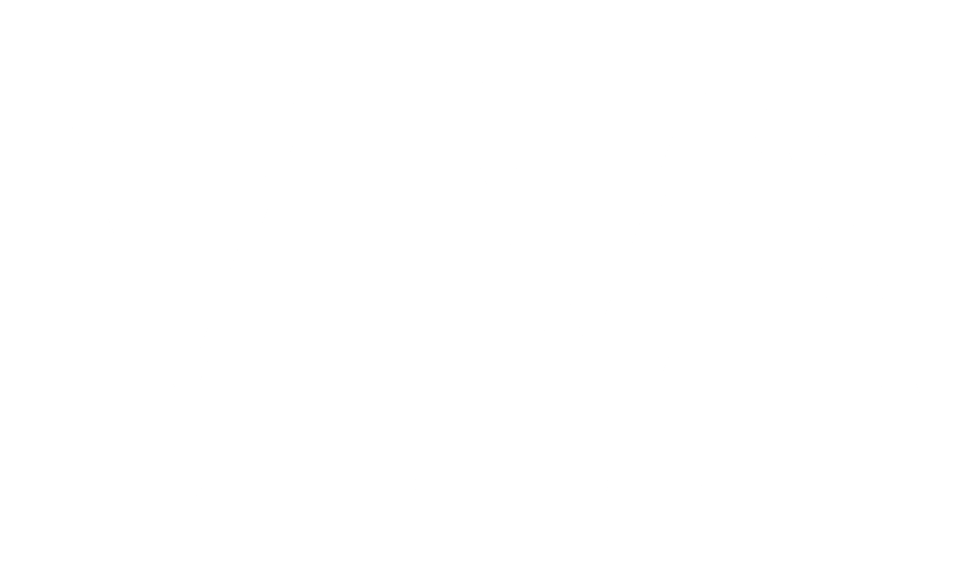 VIVA INTERIORISMO